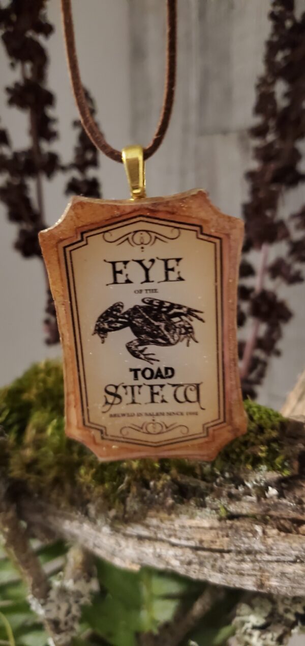 Eye of toad